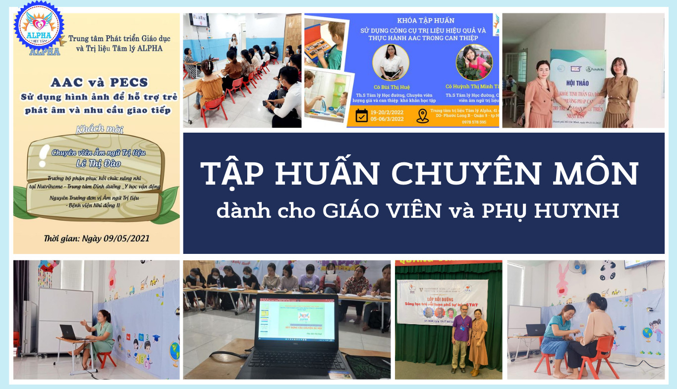 alphavietnam banner 4